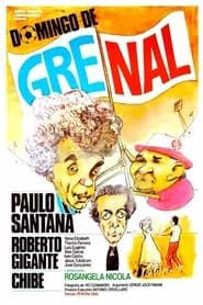 Domingo de Gre-Nal series tv
