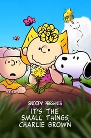 Snoopy Presents: It's the Small Things, Charlie Brown series tv