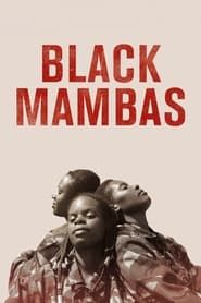 Black Mambas series tv