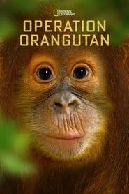 Operation Orangutan series tv