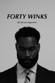 Forty Winks series tv