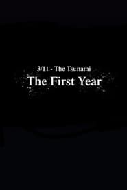 3/11-The Tsunami: The First Year series tv