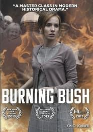 Burning Bush series tv