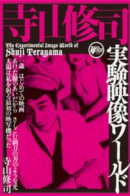 Image The Experimental Image World of Shuji Terayama