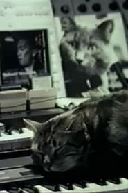 Image Cat Listening to Music