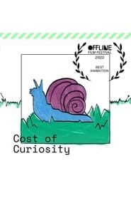 Image Cost of Curiosity