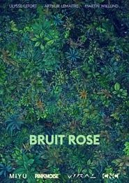 Bruit Rose series tv