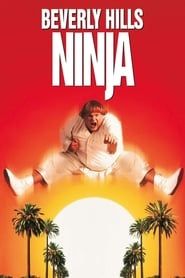 Affiche de Le Ninja de Beverly Hills