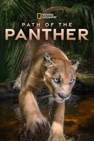 Affiche de Path of the Panther