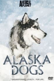 Image Alaska Dogs