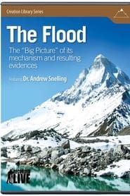 Image The Flood: The Big Picture of Its Mechanism and Resulting Evidences