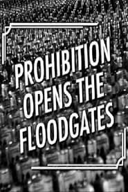 Prohibition Opens the Floodgates series tv