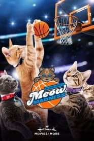 Meow Madness series tv