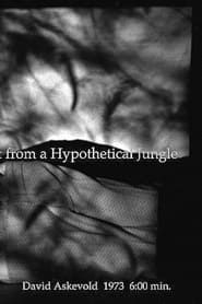My Recall of an Imprint from a Hypothetical Jungle series tv