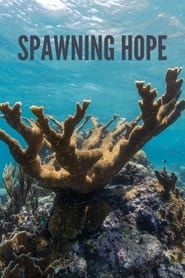 Spawning Hope series tv