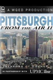 Image Pittsburgh From the Air II