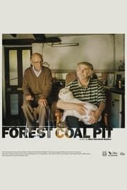 Forest Coal Pit series tv