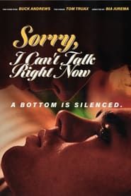 Sorry, I Can't Talk Right Now series tv