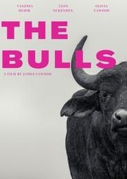 Image The Bulls