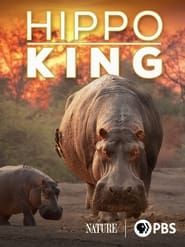 Image Hippo King