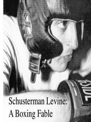 Schusterman Levine: A Boxing Fable series tv