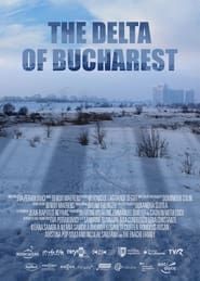 The Delta of Bucharest series tv
