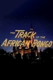 Image The Track of the African Bongo