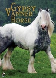 Gypsy Vanner Horse (2009)