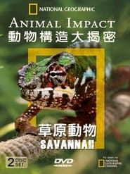 National Geographic Animal Impact Savannah series tv