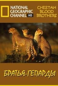 Cheetah Blood Brothers series tv