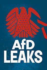 AfD Leaks: The Secret Chats of the Bundestag Parliamentary Group 2022 streaming