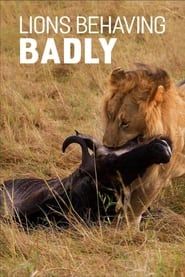 Lions Behaving Badly series tv
