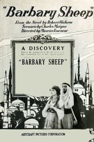 Barbary Sheep-hd