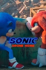 Affiche de Sonic Drone Home