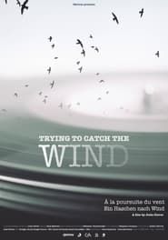 Trying to Catch the Wind series tv