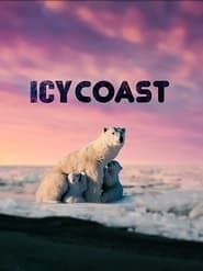 Image Icy Coasts