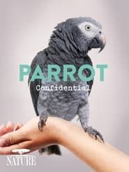 Parrot Confidential-hd