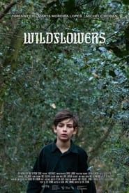 Wildflowers-hd