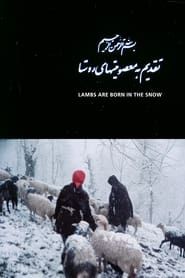 Lambs Are Born in the Snow (1990)