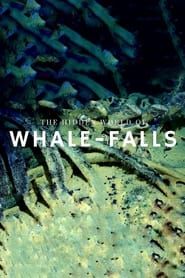 The Stages of Whale Decomposition series tv