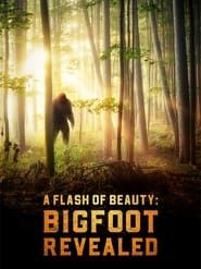 A Flash of Beauty: Bigfoot Revealed series tv