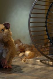 Fat Hamster series tv