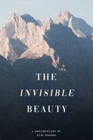 The Invisible Beauty series tv