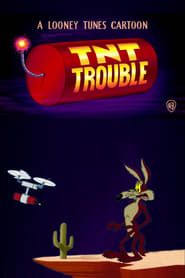 TNT Trouble series tv