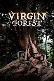 Virgin Forest-hd