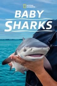 Baby Sharks series tv