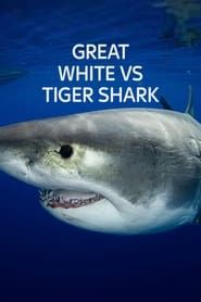 Great White vs Tiger Shark series tv