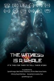 The Witness is a Whale series tv