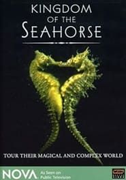 Image Kingdom of the Seahorse