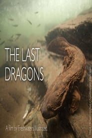 The Last Dragons: Protecting Appalachia's Hellbenders series tv